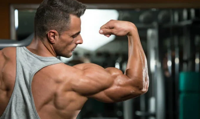How Steroids Work: A Complete Guide for Beginners