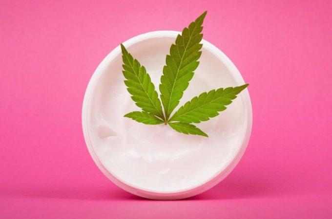 CBD Creams: A Buying Guide For 2023