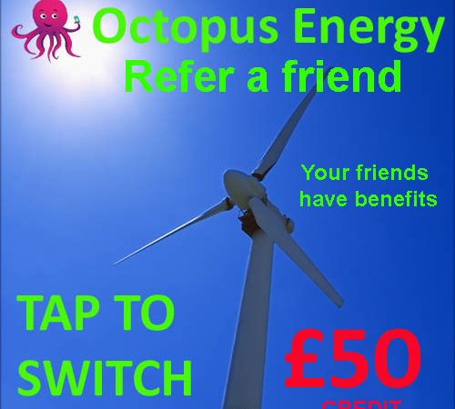 Unveiling Your Reward: How to Claim Your Octopus Energy Referral Bonus